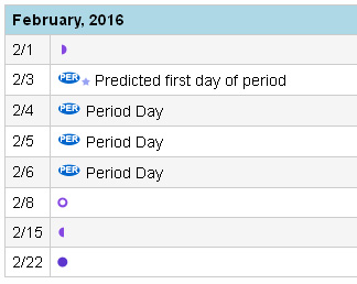 Period Calendar Date Book View