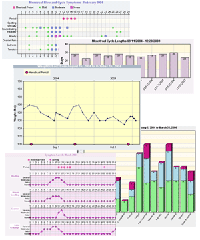 Free Menstrual Chart, PMS Chart, PMS Symptom Diary, Feminine Protection Chart, Weight Chart - MyMonthlyCharts at MyMonthlyCycles.com