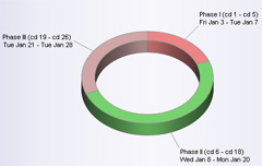 Rhythm Birth Control Chart