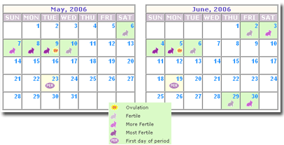 Period And Ovulation Chart